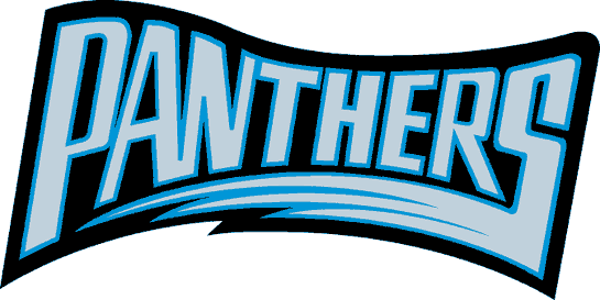 Carolina Panthers 1995 Wordmark Logo iron on transfers for T-shirts